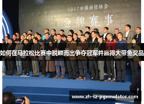 如何在马拉松比赛中脱颖而出争夺冠军并赢得大带鱼奖品