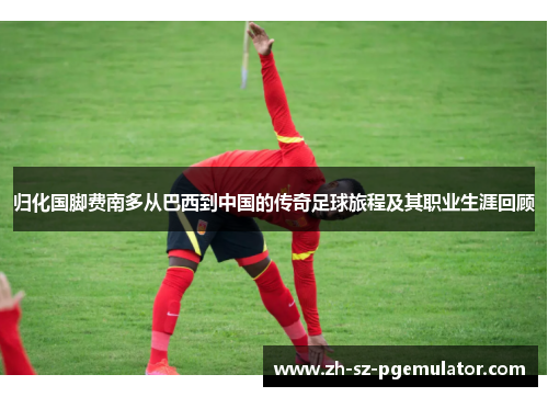 归化国脚费南多从巴西到中国的传奇足球旅程及其职业生涯回顾