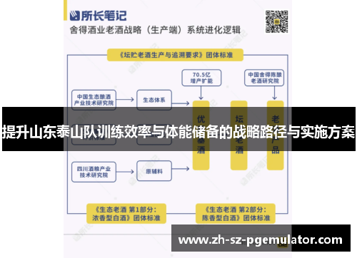 提升山东泰山队训练效率与体能储备的战略路径与实施方案