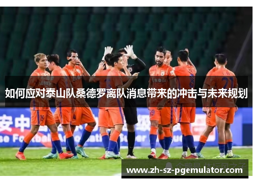 如何应对泰山队桑德罗离队消息带来的冲击与未来规划 如何应对泰山队桑德罗离队消息带来的冲击与未来规划