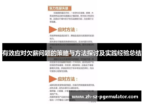 有效应对欠薪问题的策略与方法探讨及实践经验总结