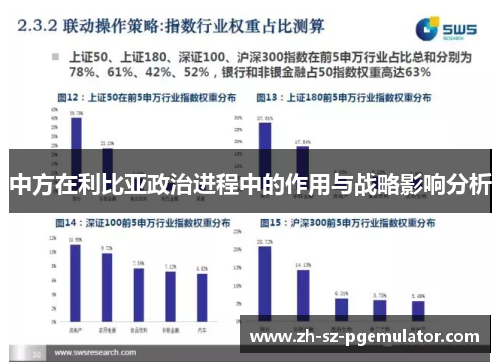 中方在利比亚政治进程中的作用与战略影响分析