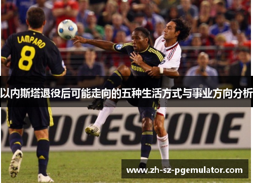 以内斯塔退役后可能走向的五种生活方式与事业方向分析