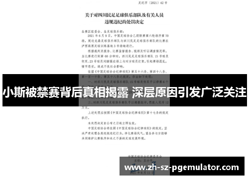 小斯被禁赛背后真相揭露 深层原因引发广泛关注
