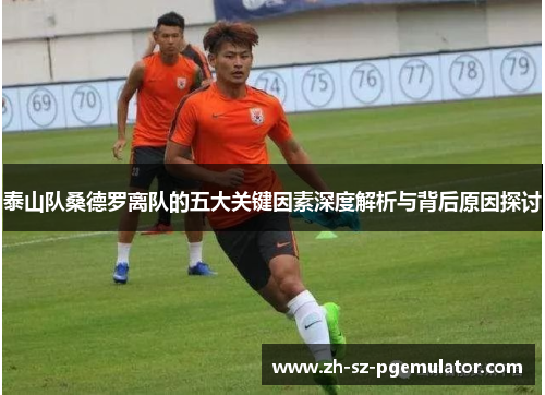 泰山队桑德罗离队的五大关键因素深度解析与背后原因探讨