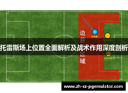 托雷斯场上位置全面解析及战术作用深度剖析