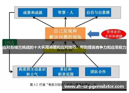 应对苏格兰挑战的十大实用策略和应对技巧，帮助提高竞争力和应变能力
