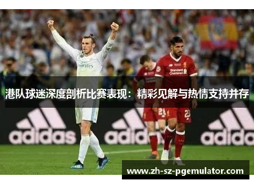 港队球迷深度剖析比赛表现：精彩见解与热情支持并存