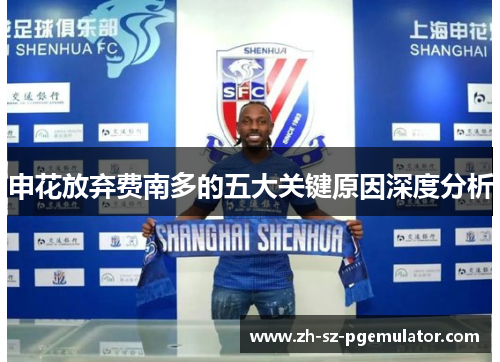 申花放弃费南多的五大关键原因深度分析 申花放弃费南多的五大关键原因深度分析