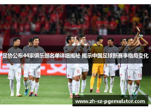 足协公布44家俱乐部名单详细揭秘 揭示中国足球新赛季格局变化