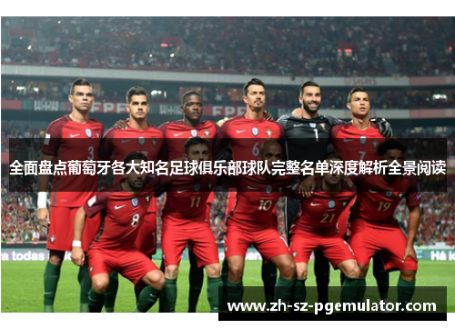 全面盘点葡萄牙各大知名足球俱乐部球队完整名单深度解析全景阅读