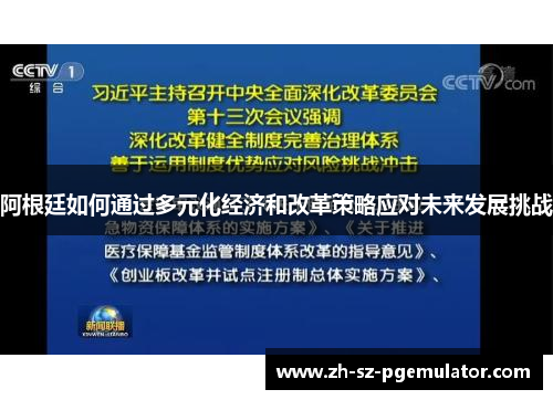 阿根廷如何通过多元化经济和改革策略应对未来发展挑战 阿根廷如何通过多元化经济和改革策略应对未来发展挑战